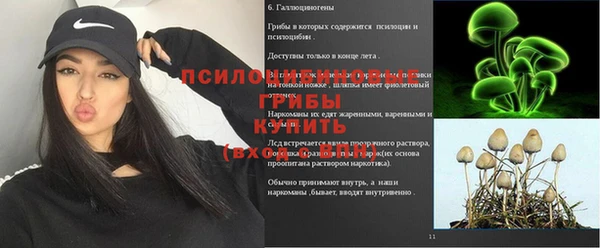 ALPHA-PVP Ельня
