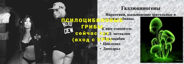 ALPHA-PVP Ельня