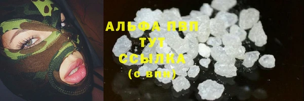 ПСИЛОЦИБИНОВЫЕ ГРИБЫ Елизово