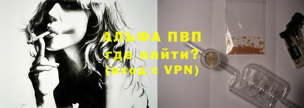 мдпв Елабуга