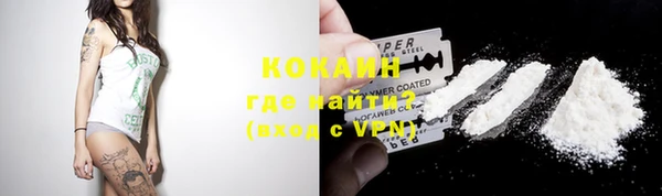 мдпв Елабуга