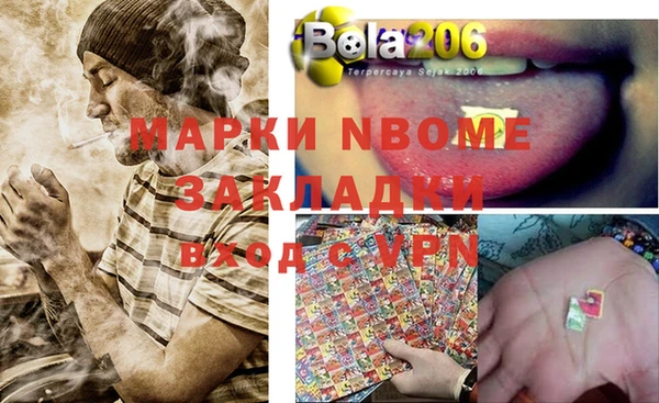 мдпв Елабуга