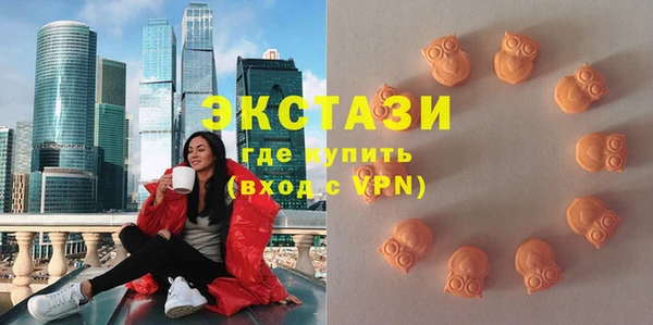 мдпв Елабуга