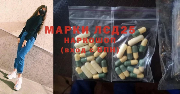 мдпв Елабуга