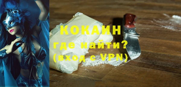 индика Валдай