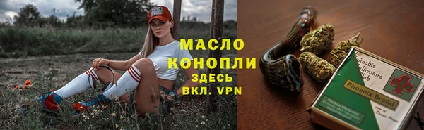 мдпв Елабуга