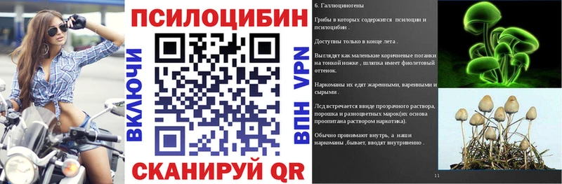 kraken как зайти Зеленокумск Галлюциногенные грибы Psilocybe